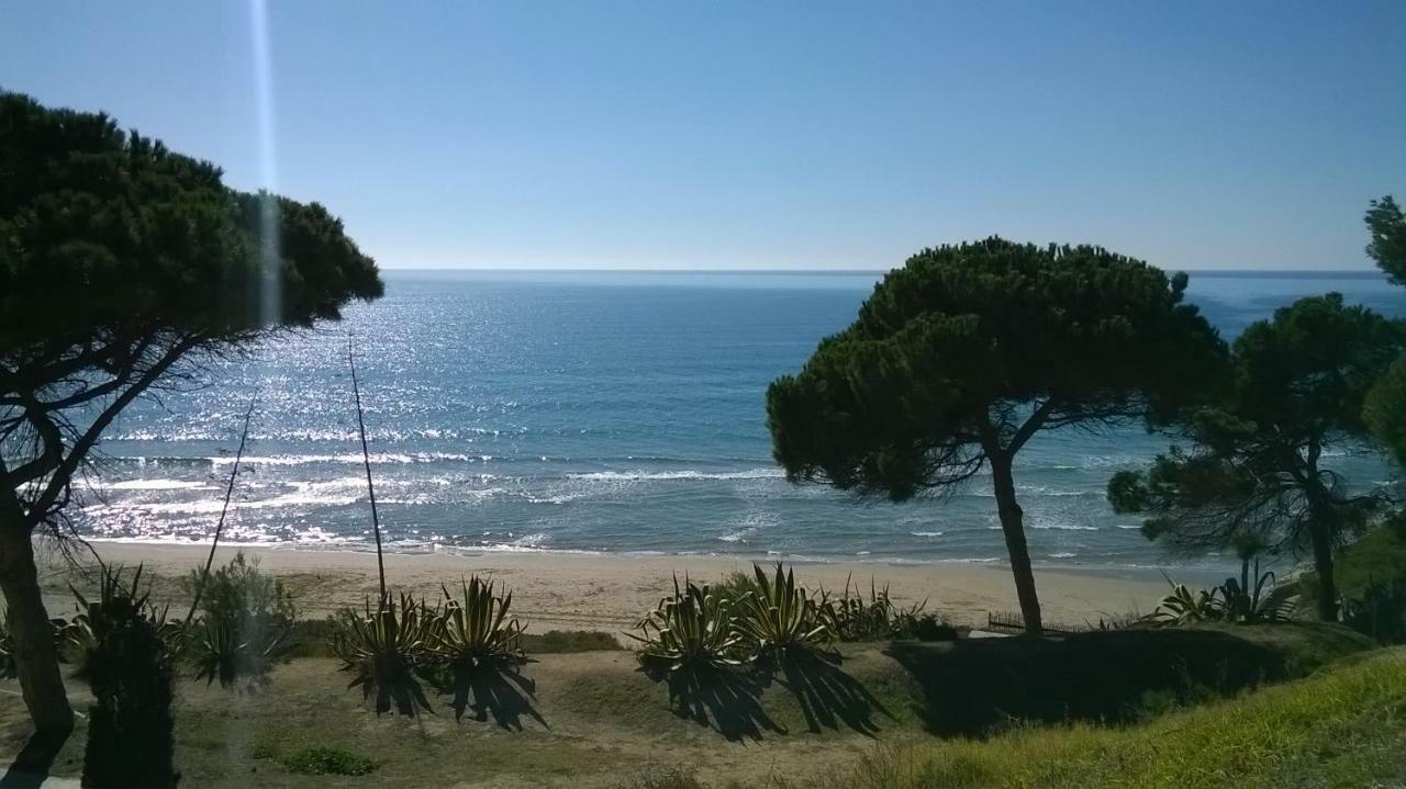 Apartamento Salou, Playas, Piscina Esterno foto